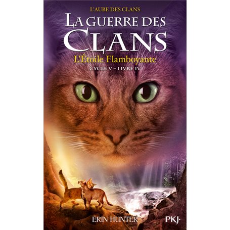 La guerre des Clans cycle V - tome 4 L'Etoile Flamboyante