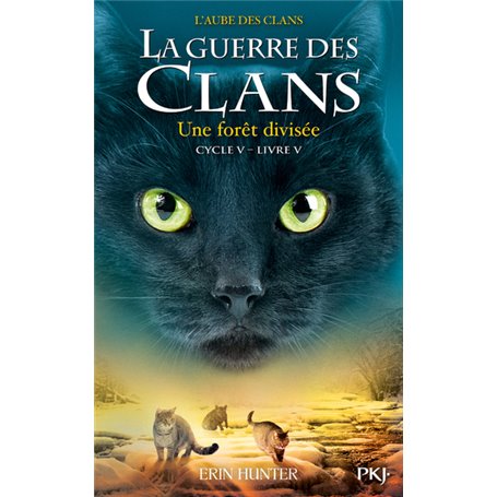 La guerre des Clans - Cycle V L'aube des clans - tome 5 Une forêt divisée