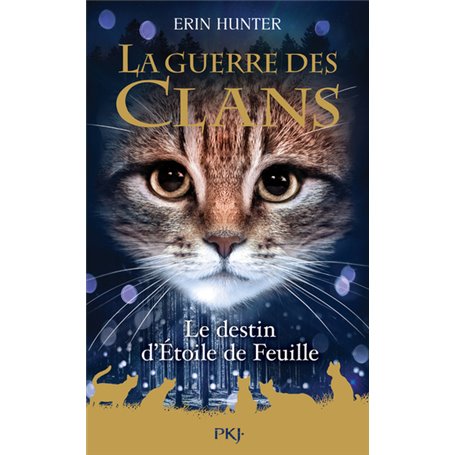 Guerre des Clans HS - tome 7 Le destin d'Etoile de Feuille