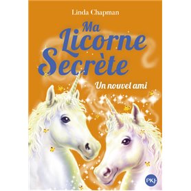 Ma licorne secrète - tome 6 Un nouvel ami