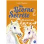 Ma licorne secrète - tome 6 Un nouvel ami