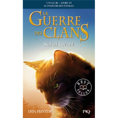 La guerre des Clans Cycle III - tome 6 Soleil levant