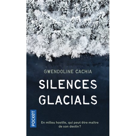 Silences glacials