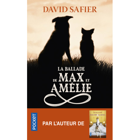 La Ballade de Max et Amélie