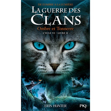 La Guerre des clans, Cycle VI - tome 2 Ombre et tonnerre