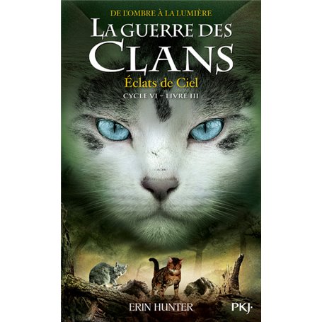 La Guerre des clans, Cycle VI - tome 3 Éclats de Ciel