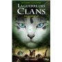 La Guerre des clans, Cycle VI - tome 3 Éclats de Ciel