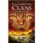 Guerre des clans, Cycle VI - Tome 5 La rivière de feu