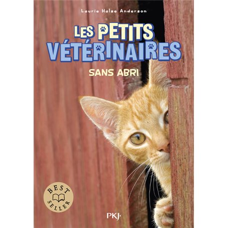 Les petits vétérinaires - Tome 2 Sans abri