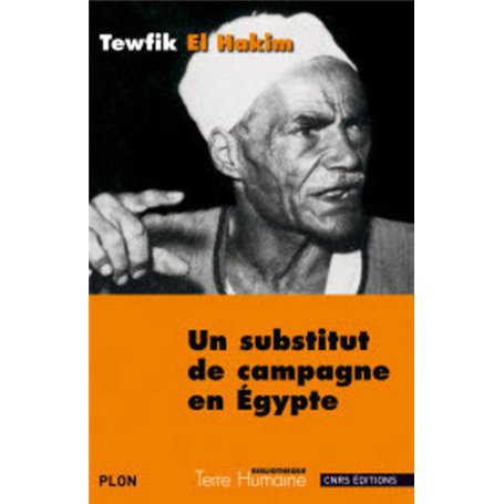 Un substitut de campagne en Egypte