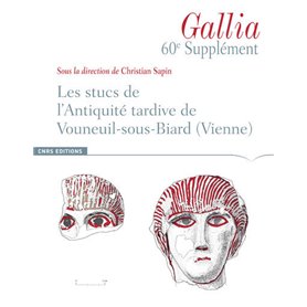 Supplément à Gallia 60 : Les stucs de l'antiquité