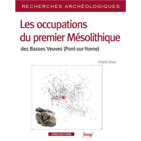 RA N°8 - Les occupations du premier Mésolithique des Basses Veuves (Pont-sur-Yonne)