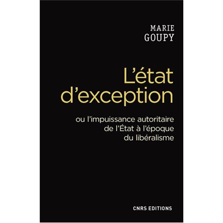 L'Etat d'exception. Crise du libéralisme et usages de la crise