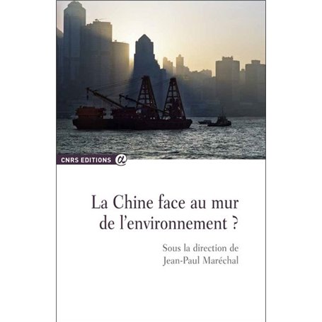 La Chine face au mur de l'environnement