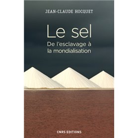 Le sel. De l'esclavage à la mondialisation