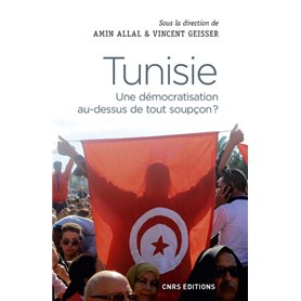 Tunisie. Une démocratisation au-dessus de tout soupçon ?