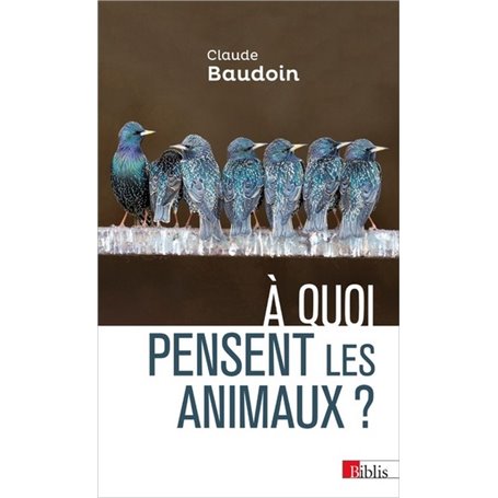 A quoi pensent les animaux ?