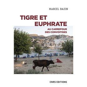 Tigre et Euphrate - Au carrefour des convoitises