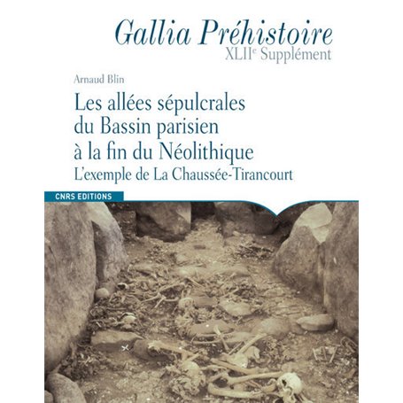 Les allées sépulcrales du Bassin parisien à la fin du Néolithique