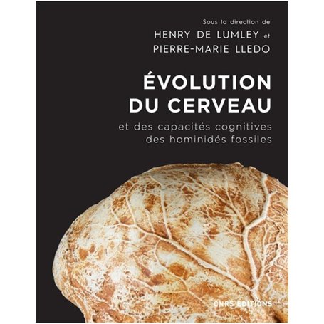 Evolution du cerveau et des capacités cognitives des hominidés fossiles