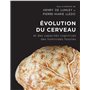 Evolution du cerveau et des capacités cognitives des hominidés fossiles