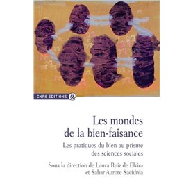 Les mondes de la bien-faisance - Les pratiques du bien au prisme des sciences sociales