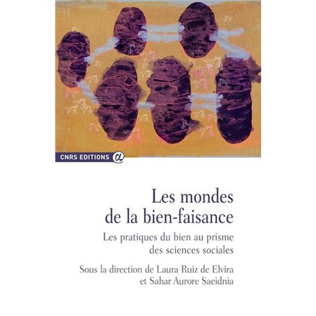 Les mondes de la bien-faisance - Les pratiques du bien au prisme des sciences sociales