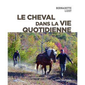 Le cheval dans la vie quotidienne