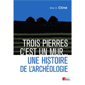 Trois pierres c'est un mur... Une histoire de l'archéologie