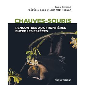 Chauves-souris - Rencontres aux frontières entre les espèces