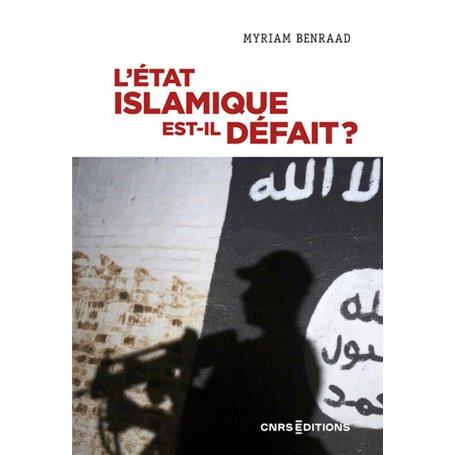 L'Etat islamique est-il défait ?