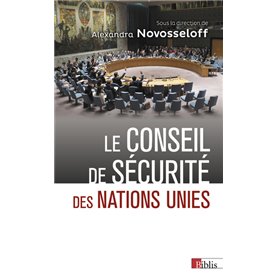 Le Conseil de sécurité des Nations Unies