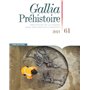 Gallia Préhistoire - Préhistoire de la France dans son contexte Européen - Tome 61