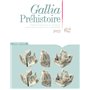 Gallia Préhistoire 62