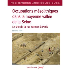Recherches archéologiques 24 - Occupations mésolithiques dans la moyenne vallée de la Seine - Le sit