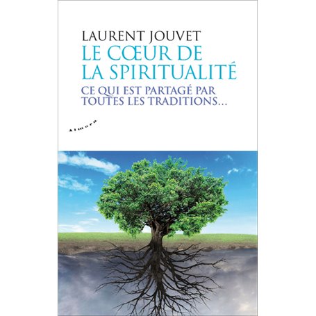 Le coeur de la spiritualité - Ce qui est partagé par toutes les traditions