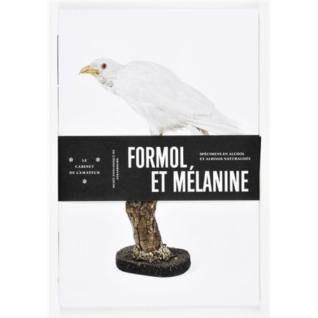 Formol et Mélanine