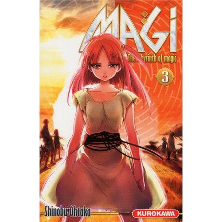 Magi - The Labyrinth of Magic - tome 3