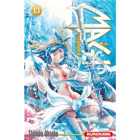 Magi - The Labyrinth of Magic - tome 13