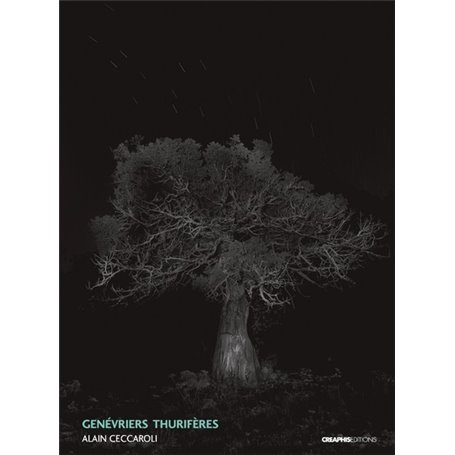 Genévrier thurifères (Juniperus Thurifera)