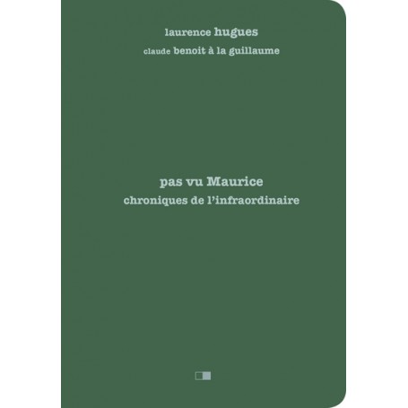 Pas vu Maurice. Chroniques de l'infraordinaire