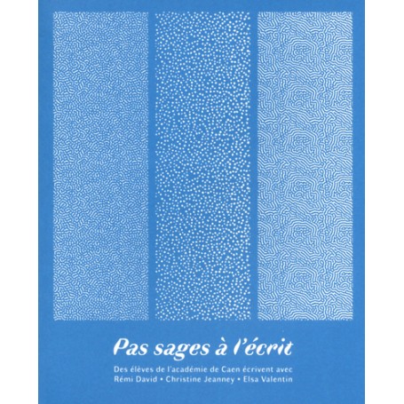 Pas sages à l'écrit - tome 1