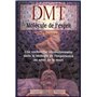 DMT - La molécule de l'esprit