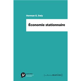 Economie stationnaire