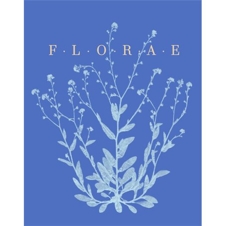 Florae, le temps des fleurs - version anglaise