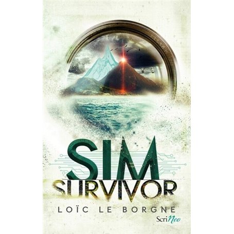 Sim survivor