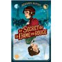 Le secret de la dame en rouge