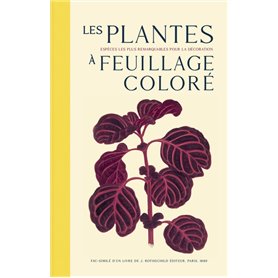 Les plantes à feuillage coloré - Les espèces les plus remarquables pour la décoration