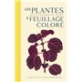 Les plantes à feuillage coloré - Les espèces les plus remarquables pour la décoration