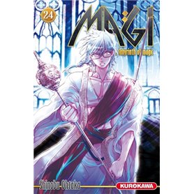 Magi - The Labyrinth of Magic - tome 24